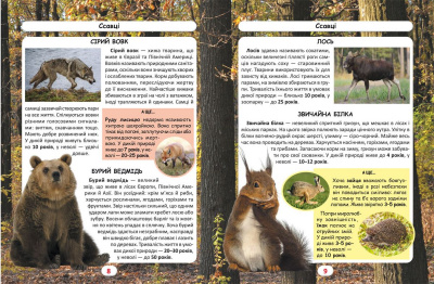 Книга Світ навколо нас. Хто скільки живе? (укр.) MiC F00027779