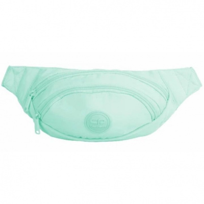 Сумка поясна Albany POWDER MINT (23х14х7 см) CoolPack F075645