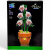 Конструктор Flowers (397 дет), зібрана конструкція - 30х13 см Zuanma 116-13 Конструктор Flowers (397 дет), зібрана конструкція - 30х13 см Zuanma 116-13
