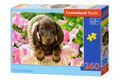 Пазли Мила такса, 260 елементів Castorland В-27514
