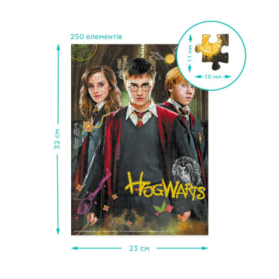 Пазл  Harry Potter. Гаррі та друзі Medium-S (250 елем) Dodo 200498