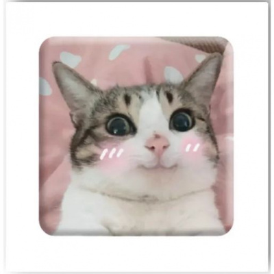 3D стікер Милий котик (ціна за 1 стікер) Tattooshka SX-25