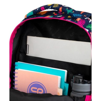 Рюкзак молодіжний Basic Plus LADY COLOR (43х31х19 см; 24 л) CoolPack F003702