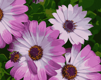 Картина за номерами. Art Craft "Африканські ромашки" 40 * 50 см 13113-AC