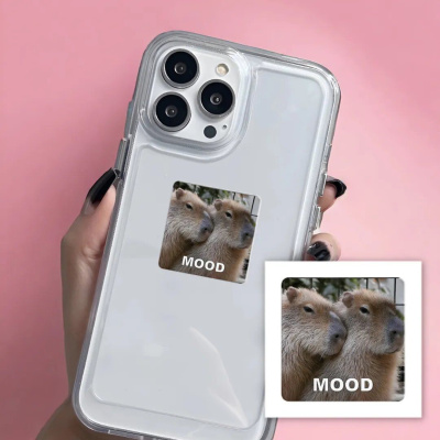 3D стікер Kapibara mood (ціна за 1 шт) Tattooshka SX-197