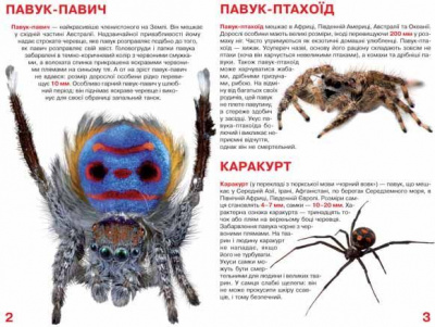 Книга Велика книга. Павуки (укр) Crystal Book F00014639