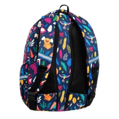 Рюкзак молодіжний Basic Plus LADY COLOR (43х31х19 см; 24 л) CoolPack F003702