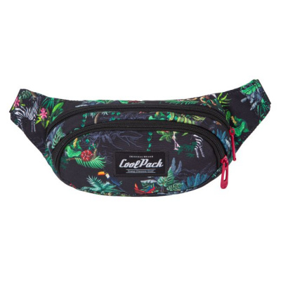 Сумка поясна Albany MALINDI (23х14х7 см) CoolPack F075741
