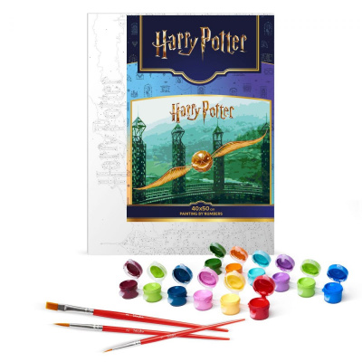 Картина за номерами з фарбами металік Harry Potter: Золотий Снітч 40х50см Ідейка KHO5225