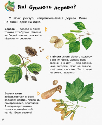 Дитяча енциклопедія про ліс 614016 для дошкільнят