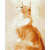 Картина за номерами Рудий Мейн-кун 40х50 см Art Craft 11704-AC Картина за номерами Рудий Мейн-кун 40х50 см Art Craft 11704-AC