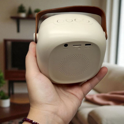 Колонка (2 мікрофони, bluetooth, підсвічування, зміна голосу, type-c, слот для карти пам’яті, AUX роз’єм) MIC C65432