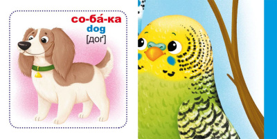 Розумні картки. Домашні тварини. 30 карток, укр Crystal Book F00024744