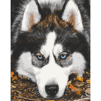 Картина по номерах Хаскі 40х50 см Art Craft 11509-AC