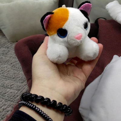 Кошеня з переноскою Plush Pet House (рожевий) MIC DR5109