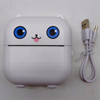 Принтер, Bluetooth, вбудований акумулятор, type-C, чорно-білий друк, додаток, 1 рулон термопаперу, в коробці (БІЛИЙ) MIC C76184