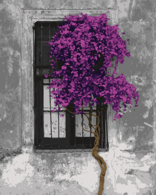Картина за номерами. Art Craft "Контраст життя" 40 * 50см 11202-AC