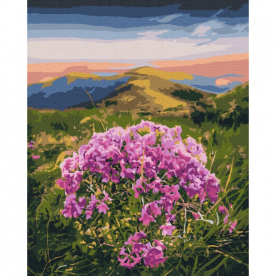 Картина за номерами "Цвітіння Карпат" ©Roksolana Baran BS53750, 40x50 см