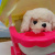Ігровий набір з песиком у візочку Cute Pet, рожева вид 2 MIC 688-24A