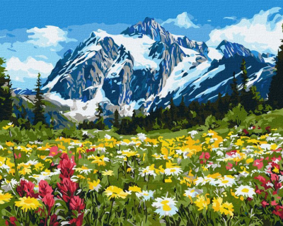 Картина за номерами - Квіткове поле серед гір ©art_selena_ua Ideyka KHO6450
