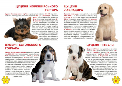 Книга Велика книга. Цуценята (укр) Crystal Book F00018782