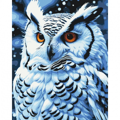 Картина за номерами Нічний птах 40х50 см Art Craft 11562-AC