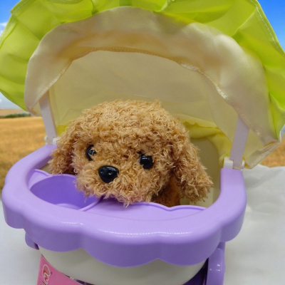 Ігровий набір з песиком у візочку Cute Pet, бузковий вид 1 MIC 688-24A