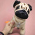 Мʼяка іграшка Мопс Марсель, 24 см Копиця 00115-8 Мʼяка іграшка Мопс Марсель, 24 см Копиця 00115-8