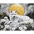 Алмазна мозаїка ПІД СВІТЛОМ МІСЯЦЯ 40х50см Ідейка AMO8244