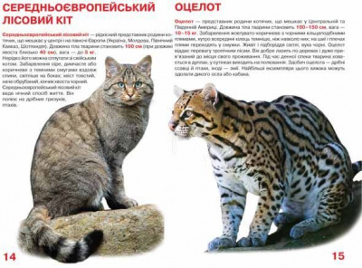 Книга Велика книга. Дикі кішки (укр) Crystal Book F00010886