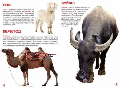 Книга Велика книга. Домашні тварини (укр) Crystal Book F00013734