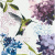 Картина по номерах Колібрі 40x40 см Riviera Blanca RB-0841