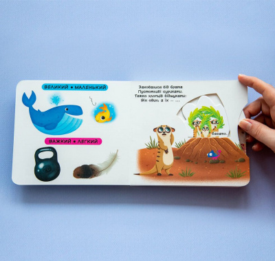 Книга з рухомими елементами Порівняння Crystal Book F00026412