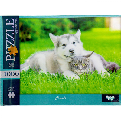 Пазли класичні (1000 елементів), Friends Dankotoys C1000-13-01,02,03,04...10