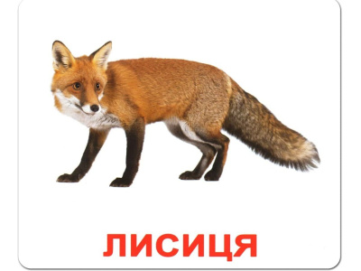 Набір карток (міні): Дикі тварини, 18 карток (укр) Jumbi J011y