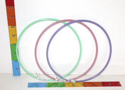 Обруч Зебра 1, малий (68 см) Bamsic 0173