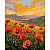 Картина по номерах Тиша серед маків 40х50 см Ідейка KHO6385