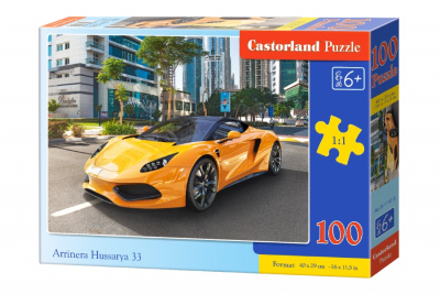 Пазли Arrinera Hussarya, 100 елементів Castorland В-111015