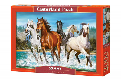 Пазли Табун коней, 2000 елементів Castorland С-200702