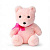 Плюшева іграшка Ведмедик Адель FWPBEARADEL23PK00, 21 см