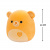 М'яка іграшка Ведмідь Чемберлен Squishmallows SQVA00849, 13 см