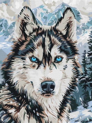 Картина за номерами - Очі півночі ©art_selena_ua, 30х40см Ideyka KHO6842